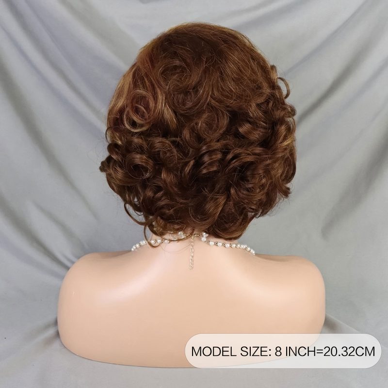 raw human hair wig