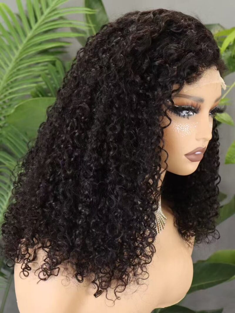 lace front wig human hair