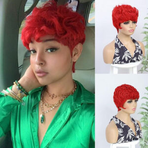 pixie human hair wigs